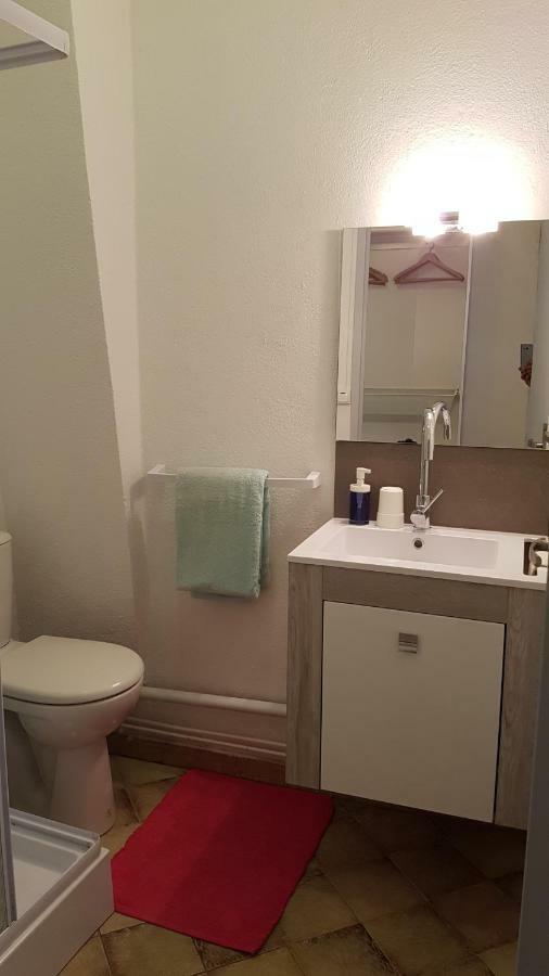 Appartements Coeur De Village Saint-Jean-du-Bruel Ngoại thất bức ảnh